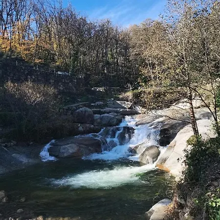 Parada Real Cr-cc-00258 2*