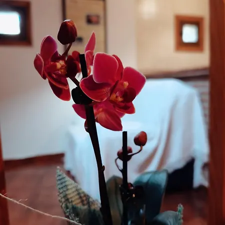 Parada Real Cr-cc-00258 2*