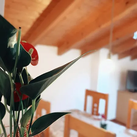 Parada Real Cr-cc-00258 Hotel 2*