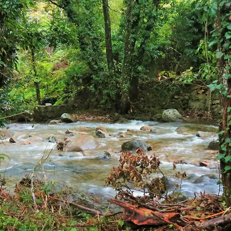 Parada Real Cr-cc-00258