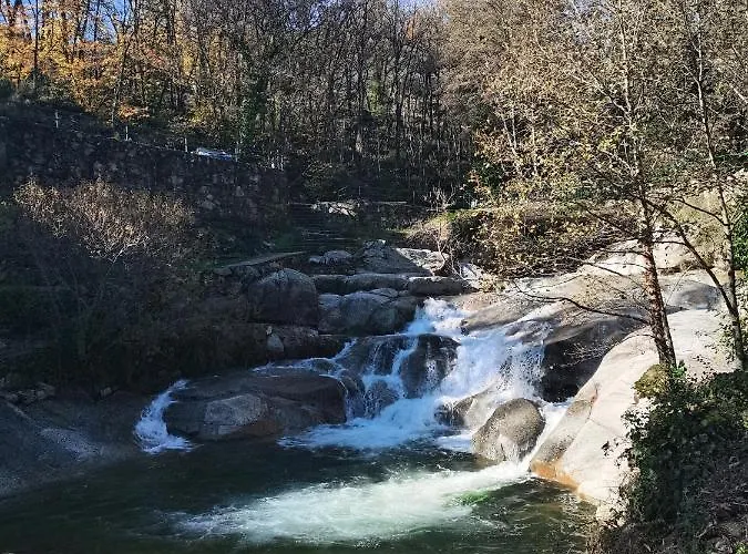 Parada Real Cr-cc-00258 2*