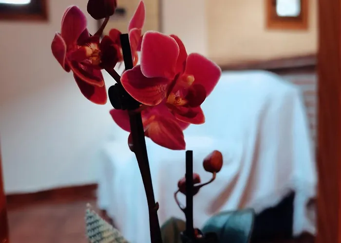 Parada Real Cr-cc-00258 2*