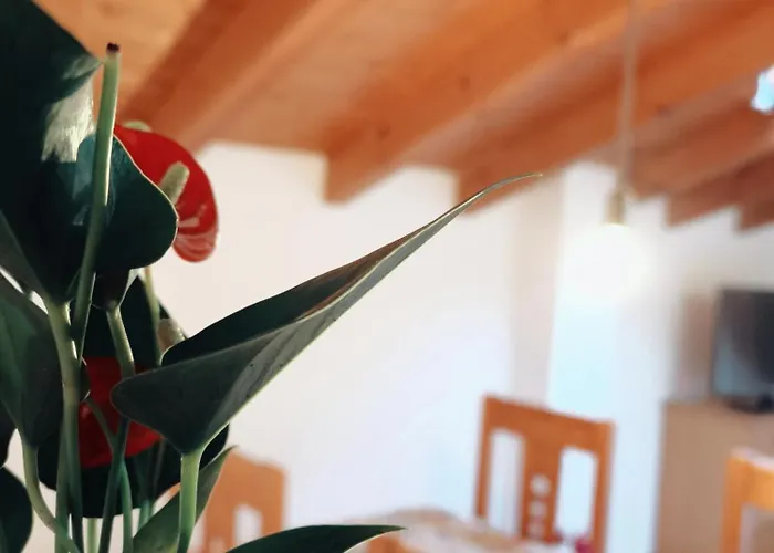 Parada Real Cr-cc-00258 Ξενοδοχείο 2*