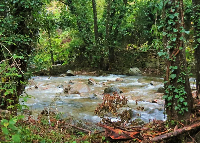 Parada Real Cr-cc-00258