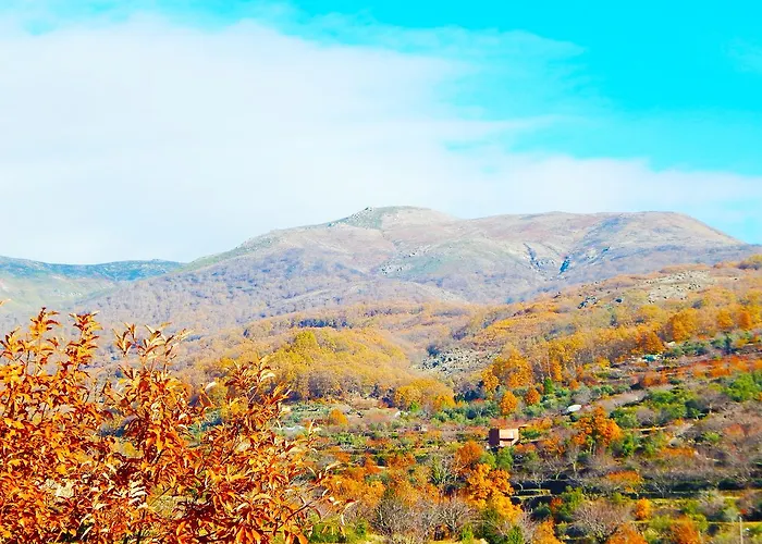 Parada Real Cr-cc-00258 2* Garganta la Olla